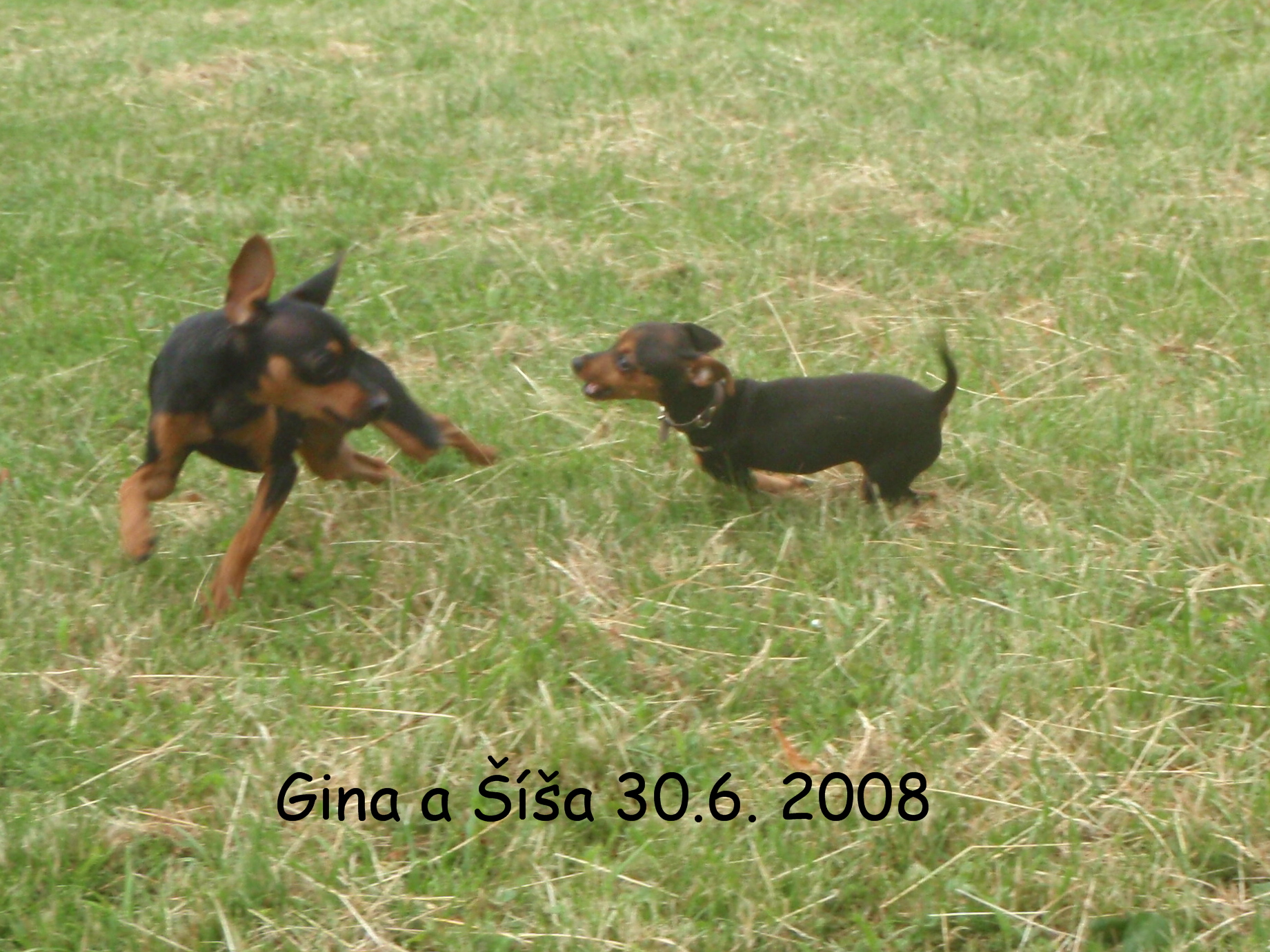 Gina a Šíš