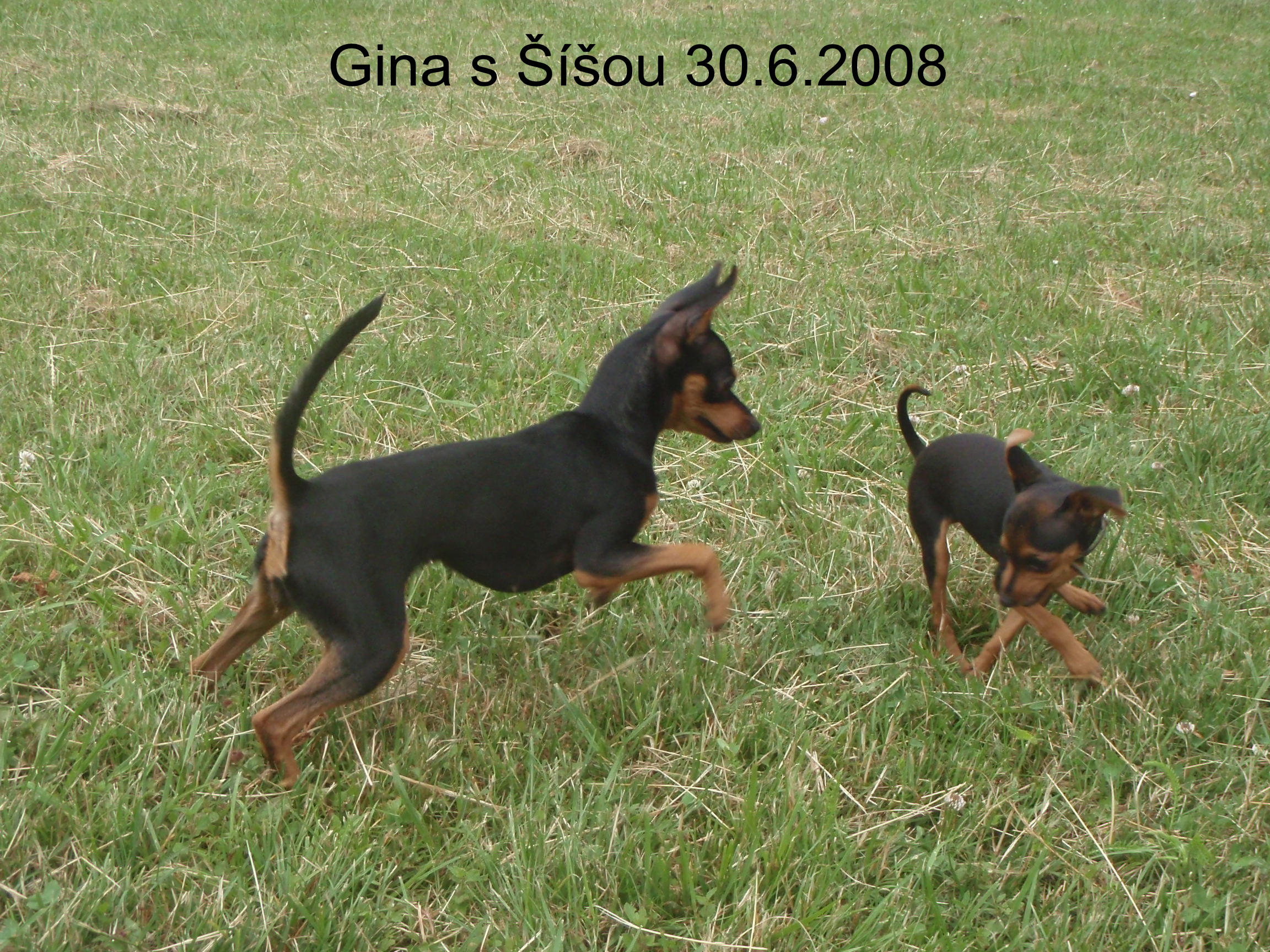 Gina a Šíša 2